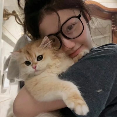 新大头儿子和小头爸爸之秘密计划